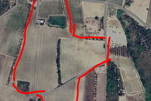 Vendita azienda vitivinicola