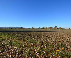 TERRENO AGRICOLO