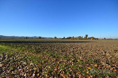 TERRENO AGRICOLO