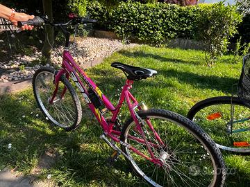 Mountain bike
