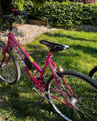 Mountain bike