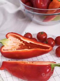 semi di 🌶️ peperoni cruschi