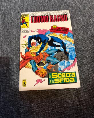 Libro Uomo Ragno