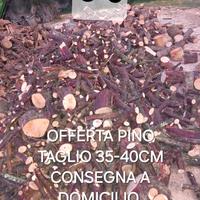 Legna da ardere pino 5€