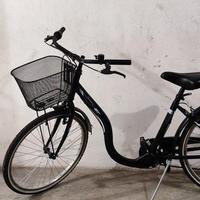 bicicletta donna cerchi 26