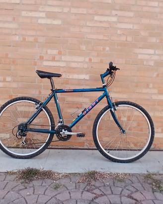 Bicicletta gigante