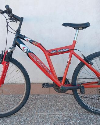 Bicicletta MTB 26