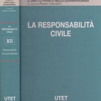 Cendon Responsabilità extracontrattuale vol. XII U
