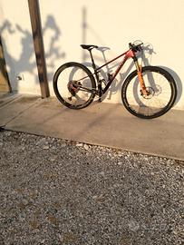 mtb carbonio Lee cougan innova  