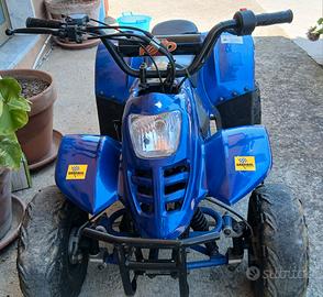 quad  110cc 