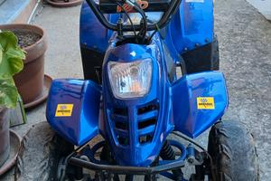 quad  110cc 