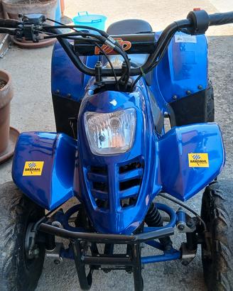 quad  110cc 