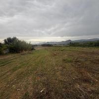 Terreno Agricolo Villamassargia