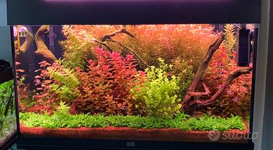 Acquario Juwel Rio 125
