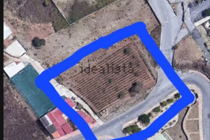 Vendita terreno edificabile adattato a vigneto