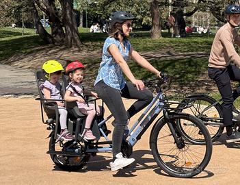 Cargo E-Bike Long Tail Mobilitas