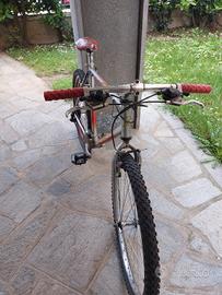 MTB Esperia 26