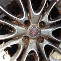 Cerchi punto evo