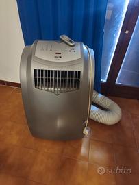 Condizionatore portatile  tipo pinguino 