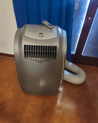 Condizionatore portatile  tipo pinguino 