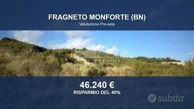 Immobile in asta di 30075 m² a Fragneto Monforte