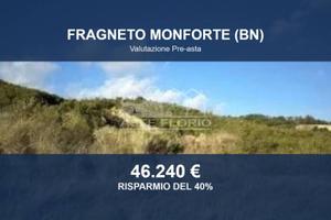 Immobile in asta di 30075 m² a Fragneto Monforte