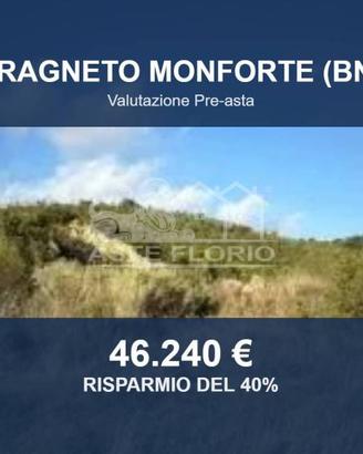 Immobile in asta di 30075 m² a Fragneto Monforte