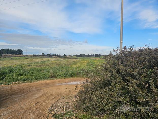 Terreno agricolo località carropu caddeo