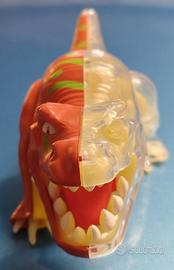 Tyrannosaurus rex metà scheletro action figure