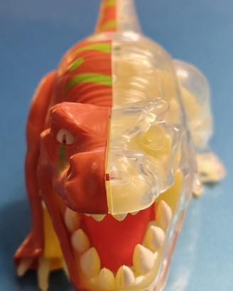 Tyrannosaurus rex metà scheletro action figure