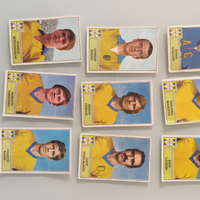 Figurine Panini Hellas Verona 71-72