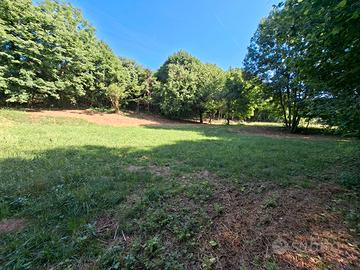 Terreno agricolo 2000mq