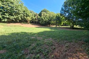 Terreno agricolo 2000mq