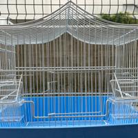 Gabbietta per uccellini