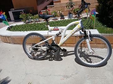 bici 20