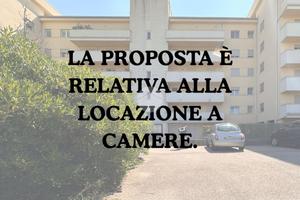 MONOLOCALE A VERONA