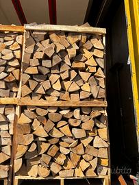 LEGNA FAGGIO SECCO SECCO