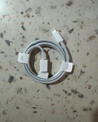 Cavo USB-C Lightning iPhone