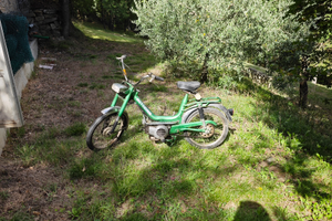 Moto Bimm 50 cc presa diretta