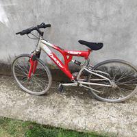 Bicicletta 