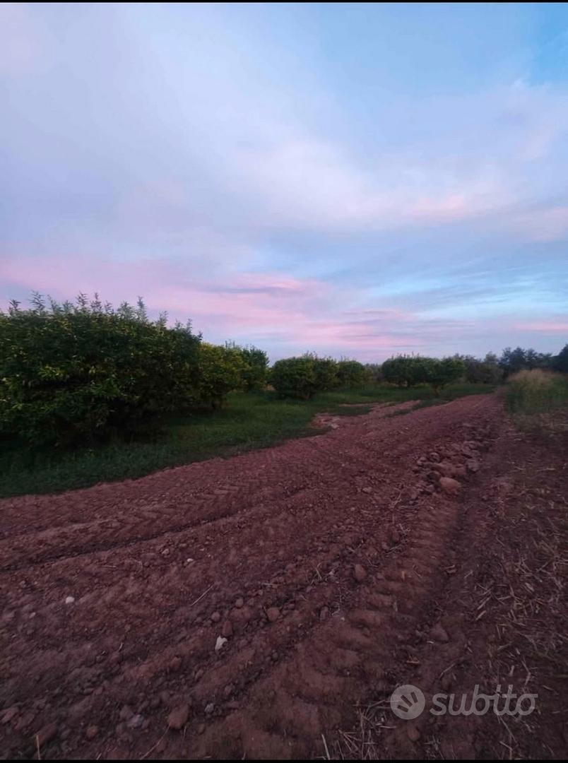 Terreno agricolo di 3000mq a Cammarata - Vista 2