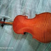 violino