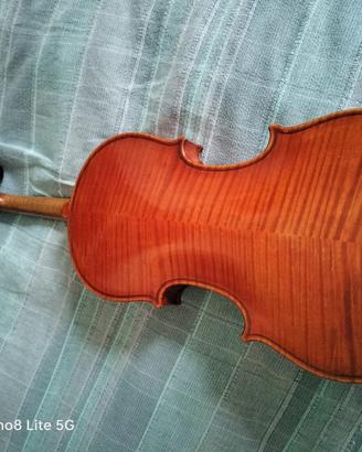 violino