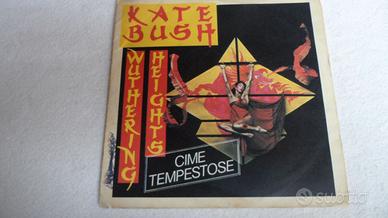 Disco  Kate Bush