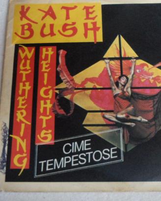 Disco  Kate Bush