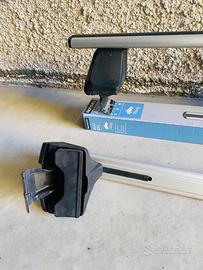 Barre Portatutto Scenic XMod