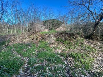 TER. RESIDENZIALE A VITERBO