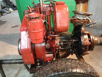 Motopompa irrigazione caprari