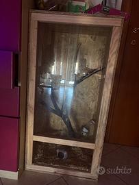 Teca legno