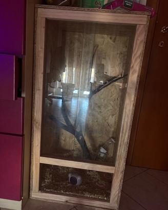 Teca legno